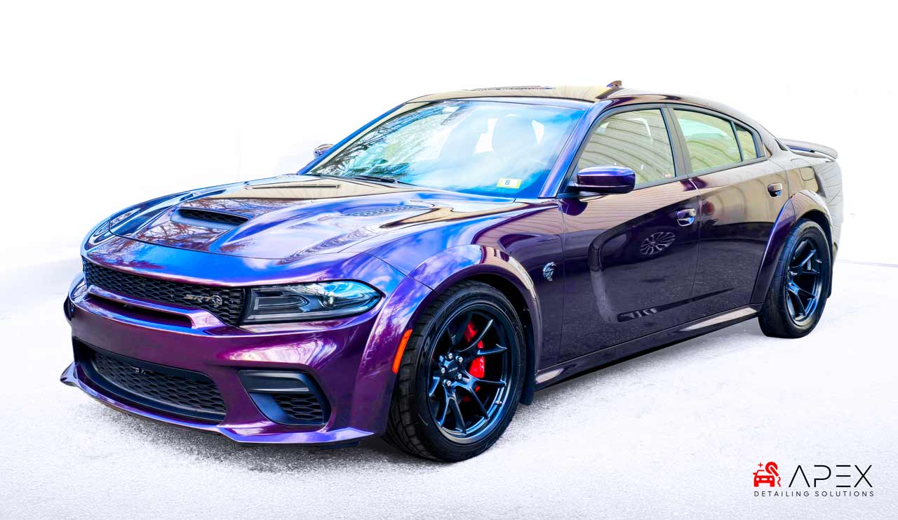 Apex-Hell-Cat-Cropped-20241203_135026-2-v2